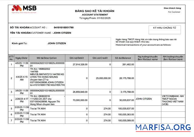 Realistic Vietnam MSB bank account statement word example